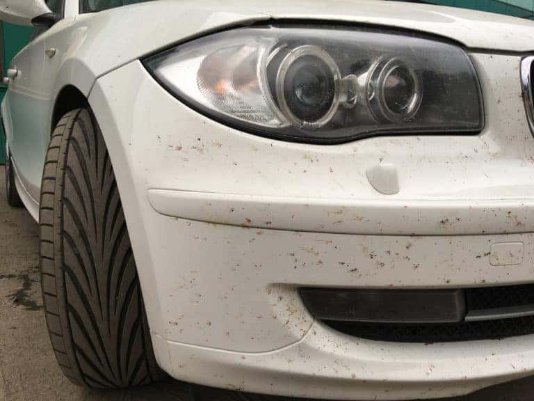 How to get tough stains and blemishes off your car paint | Toyota of