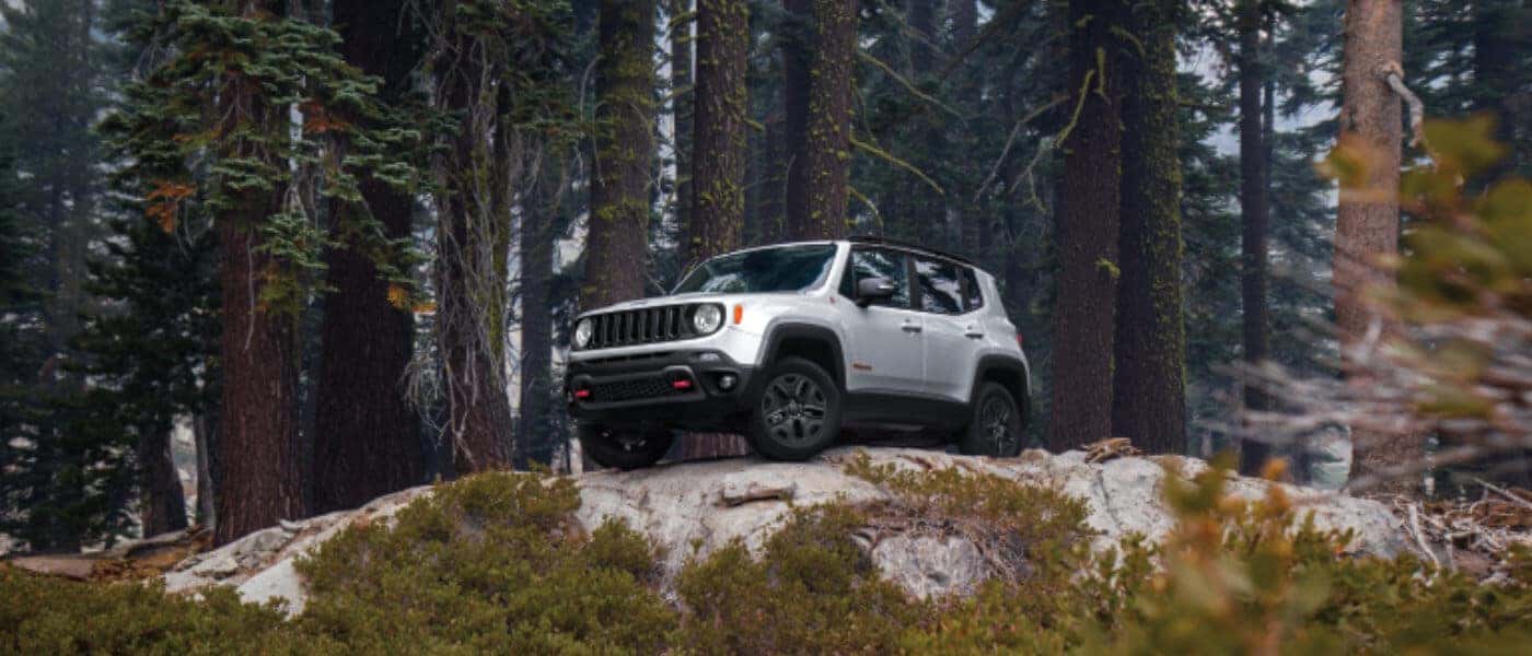 jeep renegade trailhawk accessories