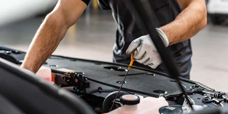 Mechanic Checking Car Oil