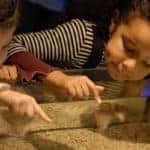 two little girls looking an aquarium in a museum