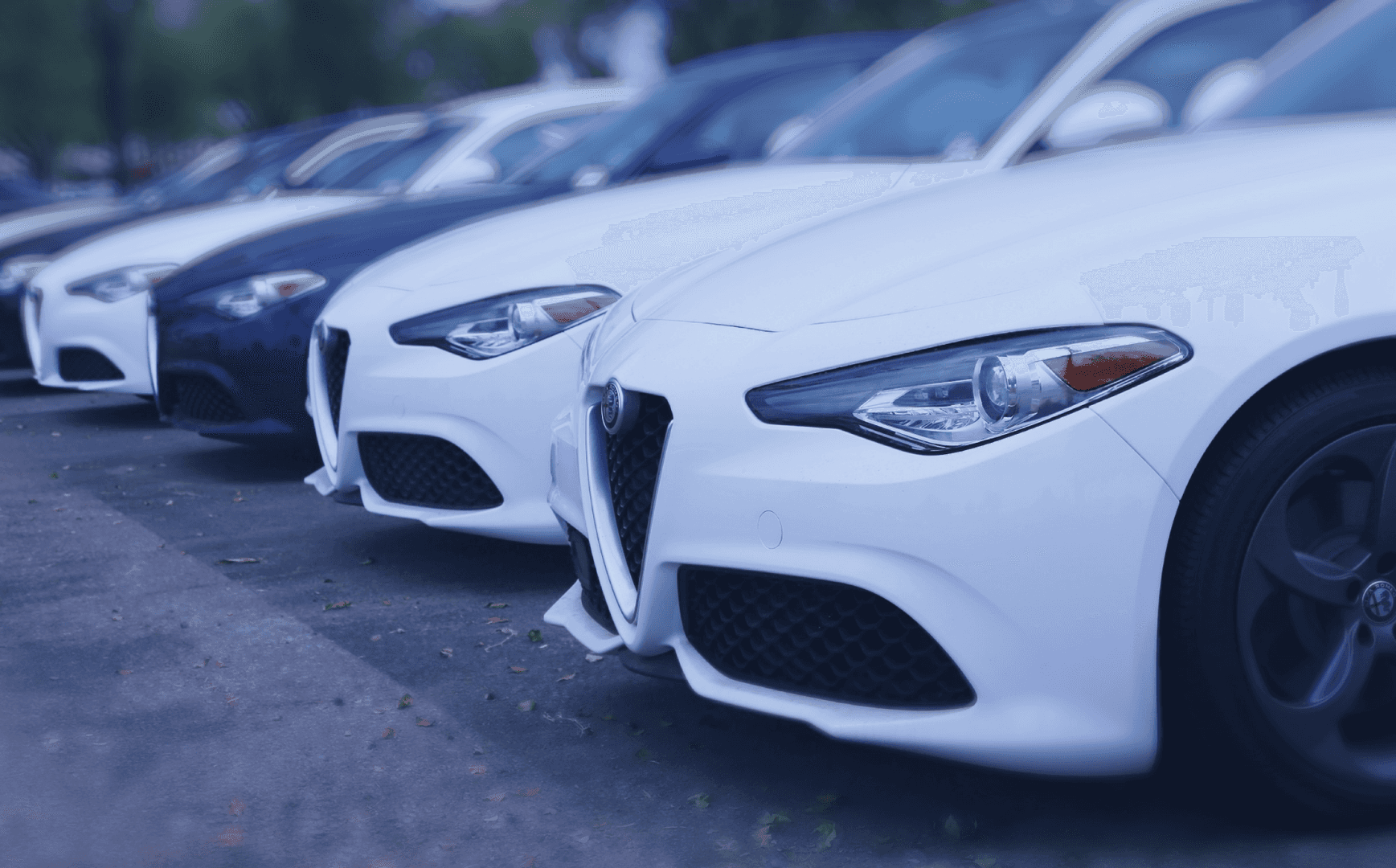 Large selection of new Alfa Romeo models