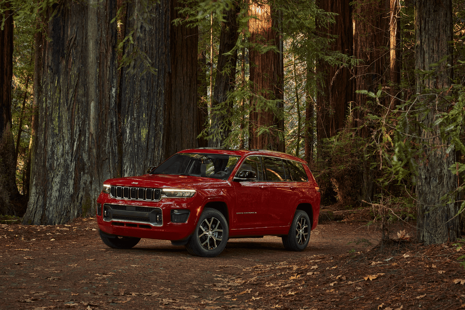 Red Jeep Grand Cherokee in the Redwoods