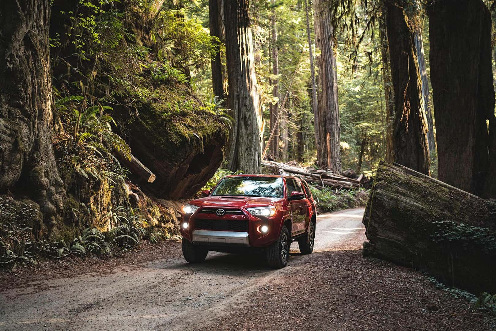 Toyota Inventory