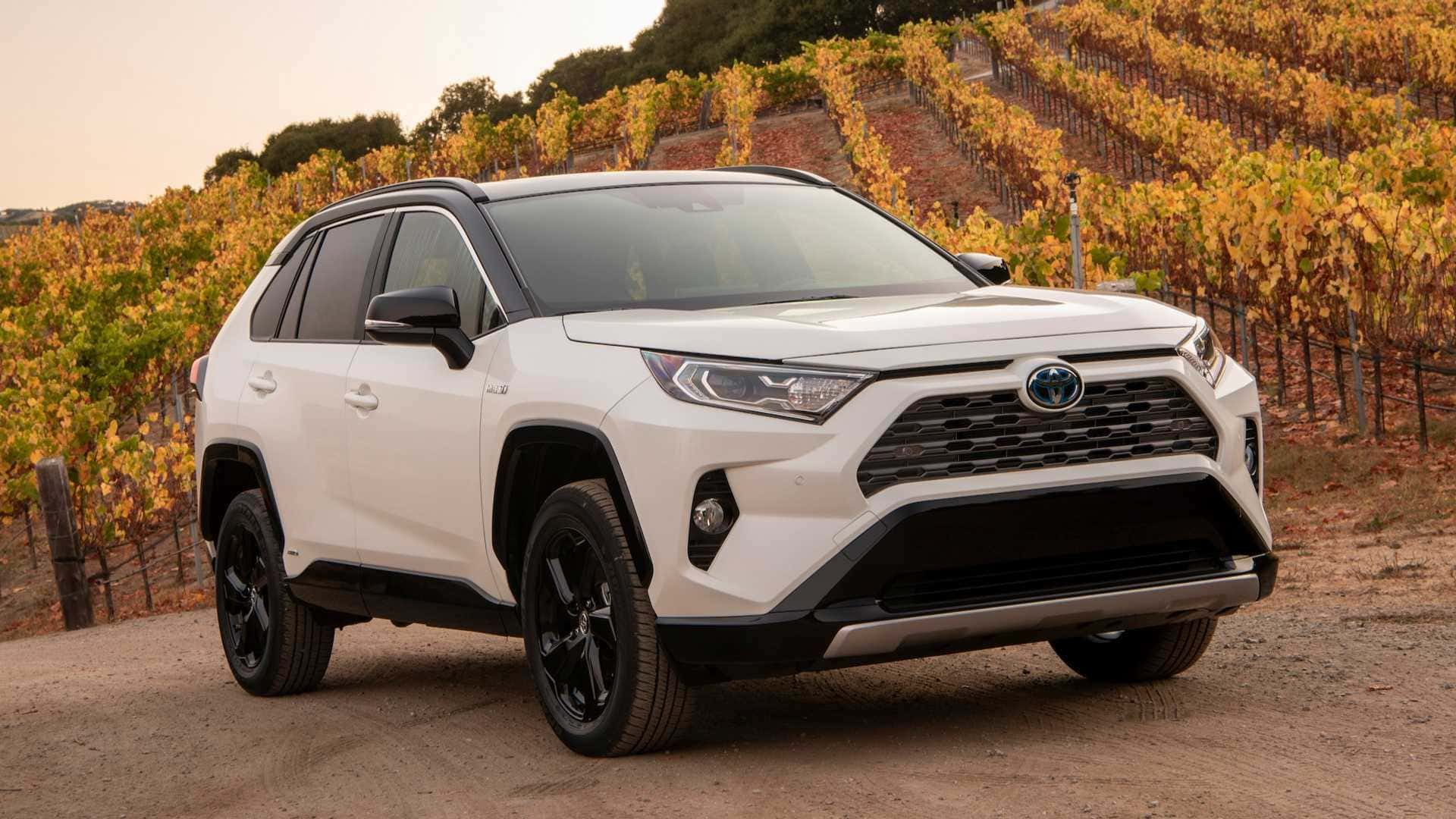 2019 Toyota RAV4 LE Vs 2019 Honda CR-V