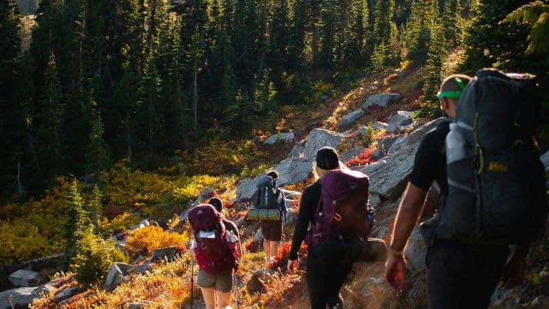 Family hiking adventure in the Pacific Northwest mountains