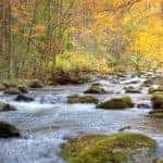 Smoky Mountains