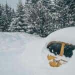 Stranded