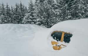 Stranded