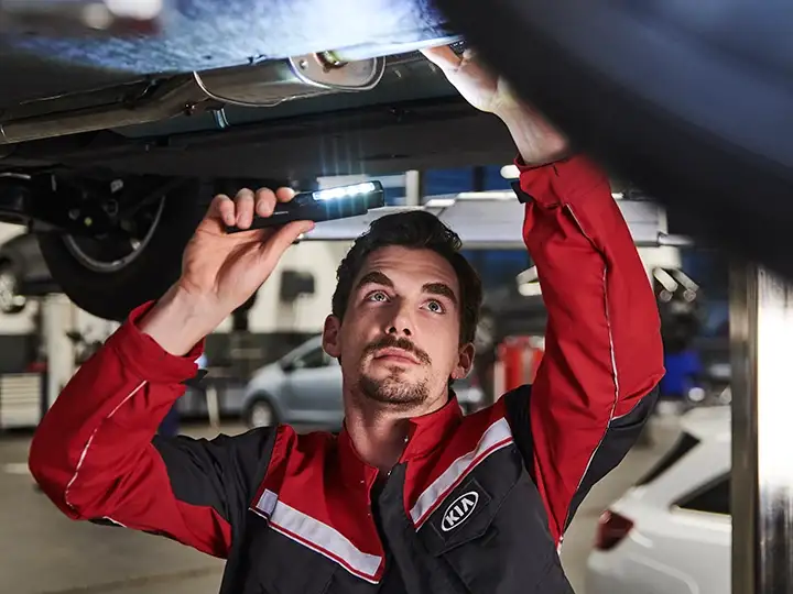 Spring Multi-Point Inspection