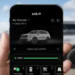 Kia Software Updates