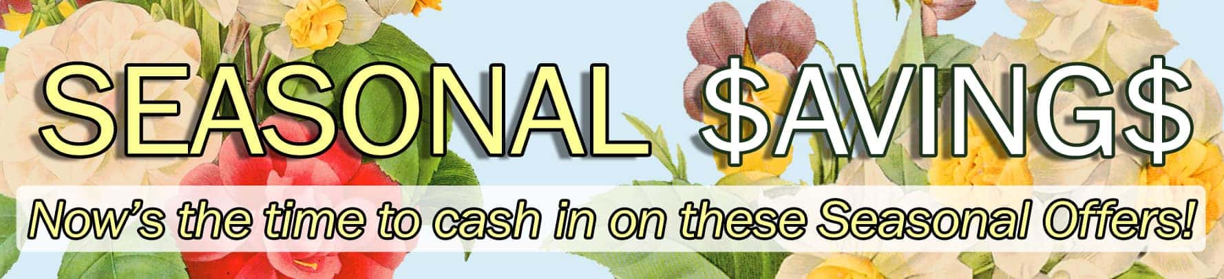 seasonalsavingsbannerSPRING
