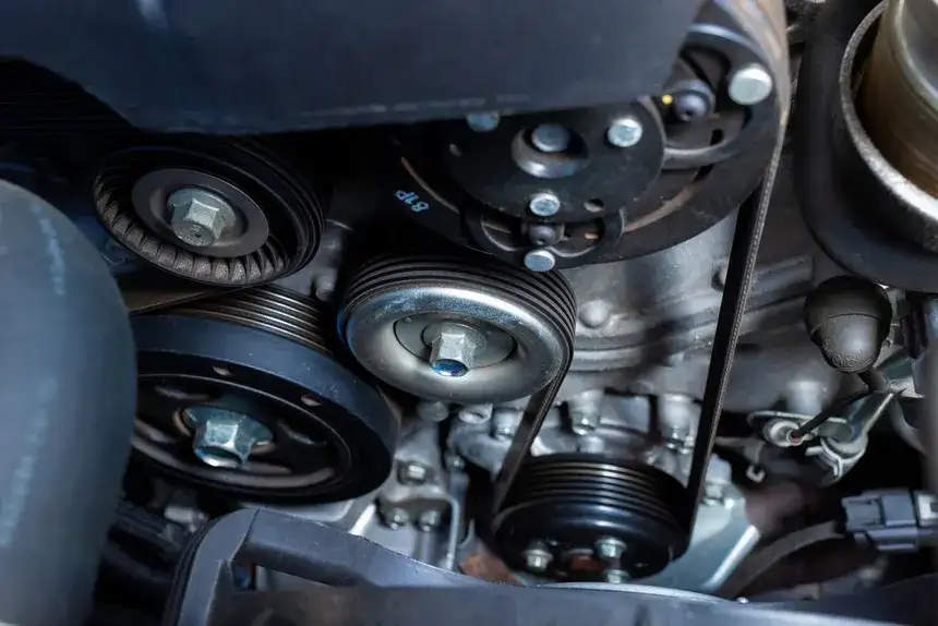 serpentine belt