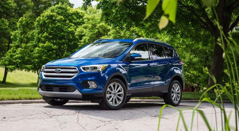 A deep blue used Ford Escape with green trees and bushes in the background