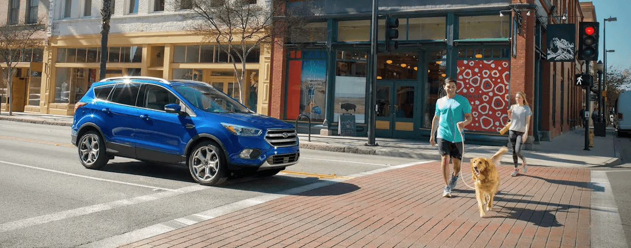 A blue 2019 Ford Escape is stopped at a crosswalk while a dog is walking past with the owner. The Escape has many more safety features when comparing the 2019 Ford Escape vs 2019 Nissan Rogue.