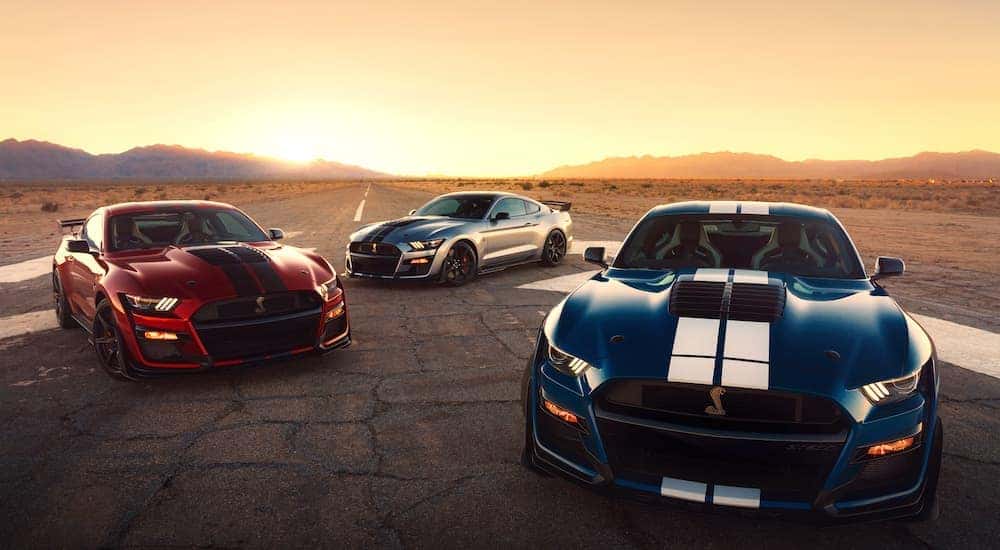 Three 2020 Ford Mustang Shelby GT500s are parked on a desert track at sunset.