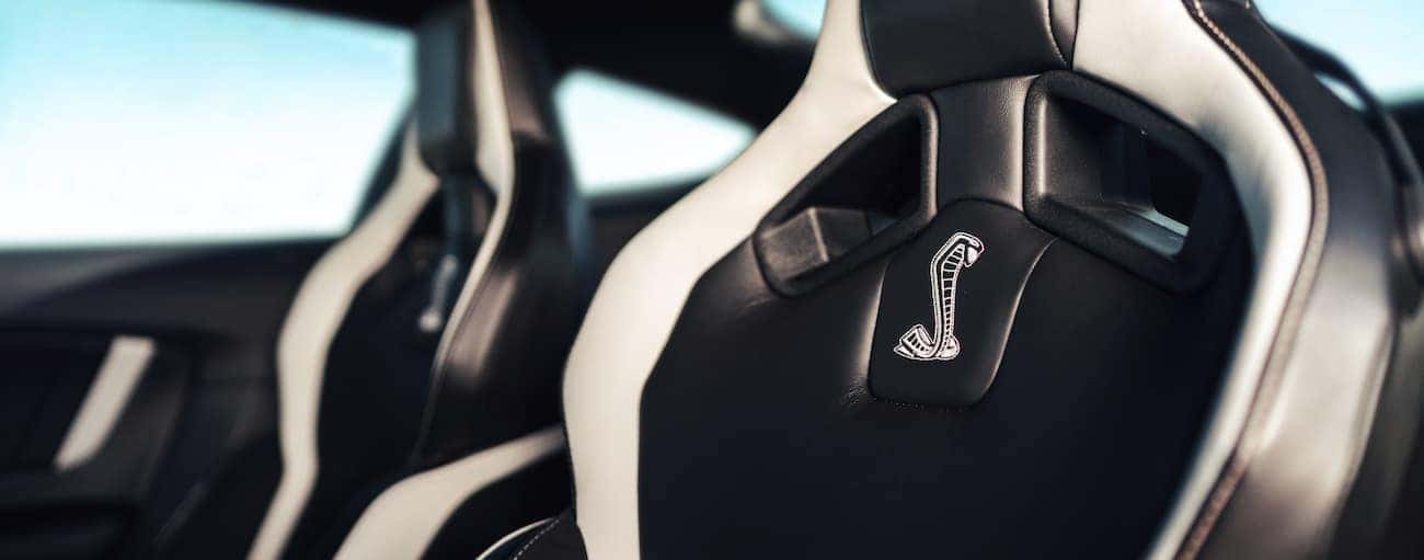 The black and white seats in a 2020 Shelby GT500 are shown.