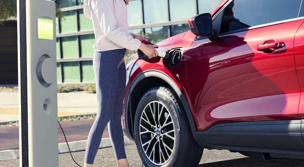 A woman is charging her 2020 Ford Escape that has a plug-In 2.5L iVCT Inline 4 cylinder engine.