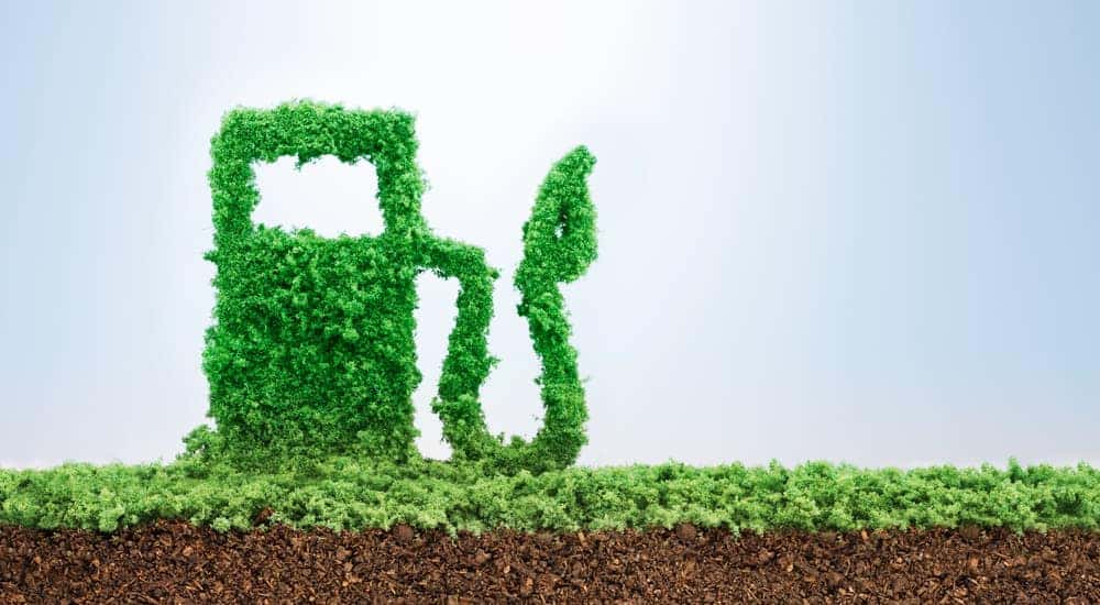 A gas pump made out of plants is shown.