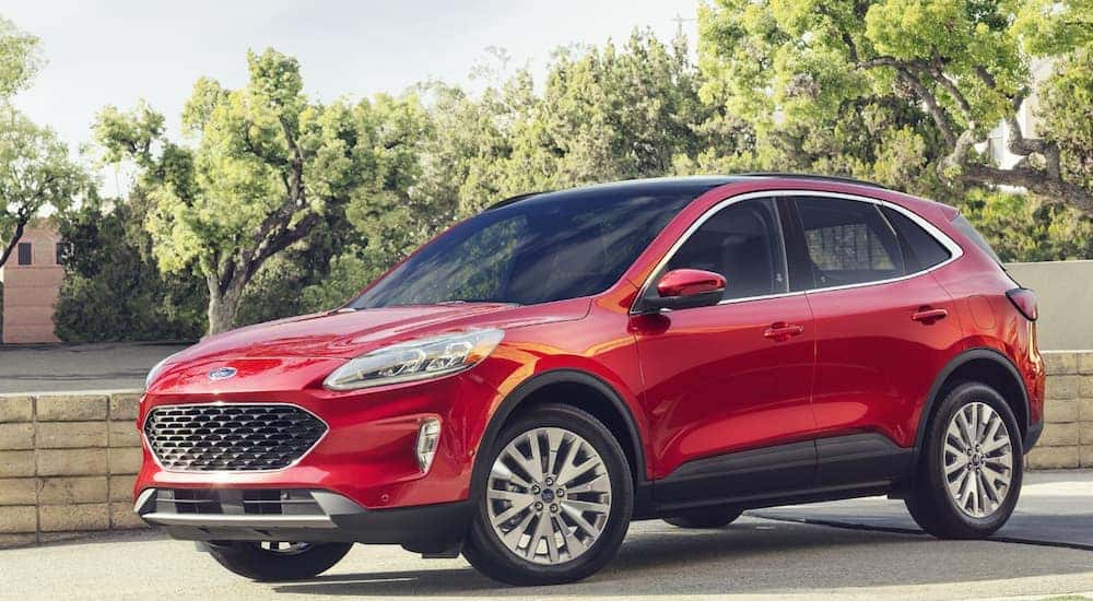 A red 2020 Ford Escape Hybrid, which is a popular option among Ford SUVs, is parked in a driveway.