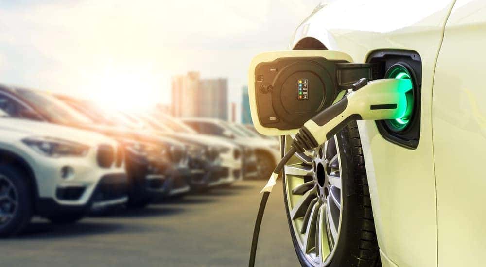 A white EV model vehicle is charging while gas vehicles are in a row next to it.