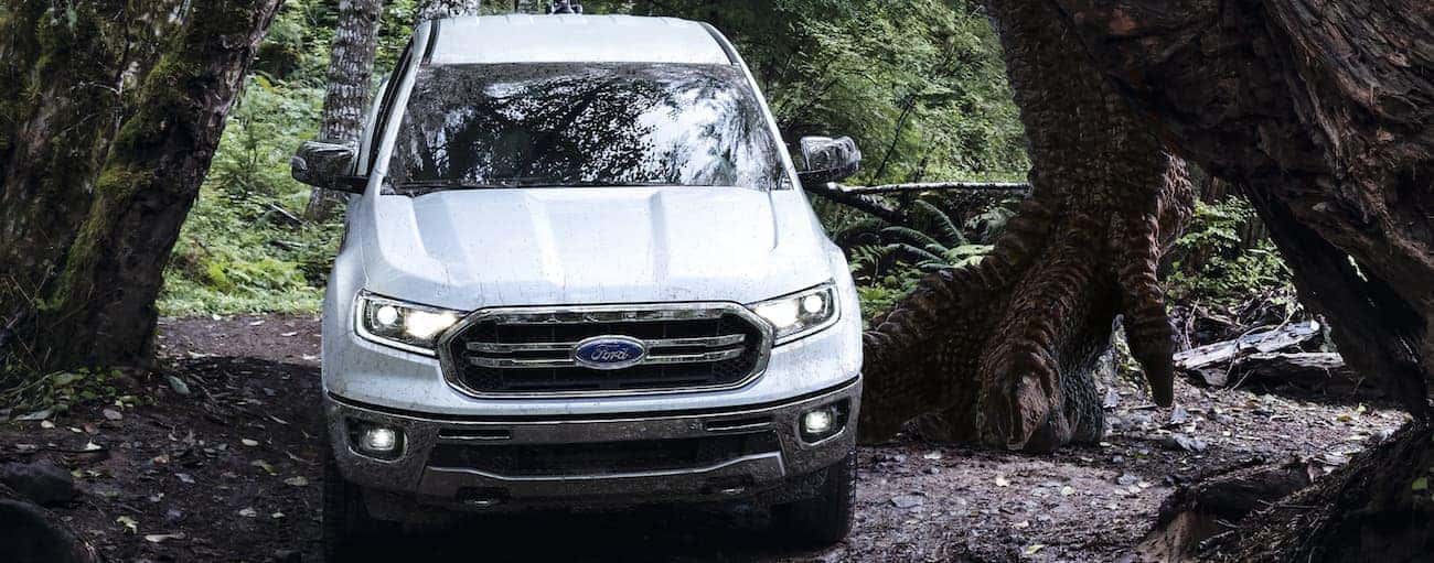 A white 2020 Ford Ranger, which wins when comparing the 2020 Ford Ranger vs. 2020 Toyota Tacoma, is driving under a large tree in the woods.