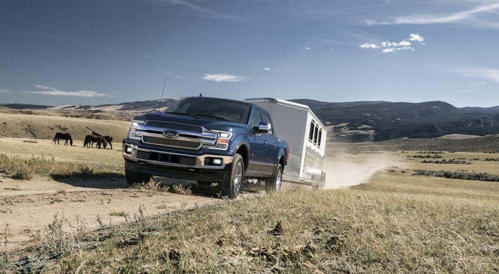 A blue 2020 Ford F-150, which is popular among Ford trucks for sale, is towing a horse trailer past a farm.
