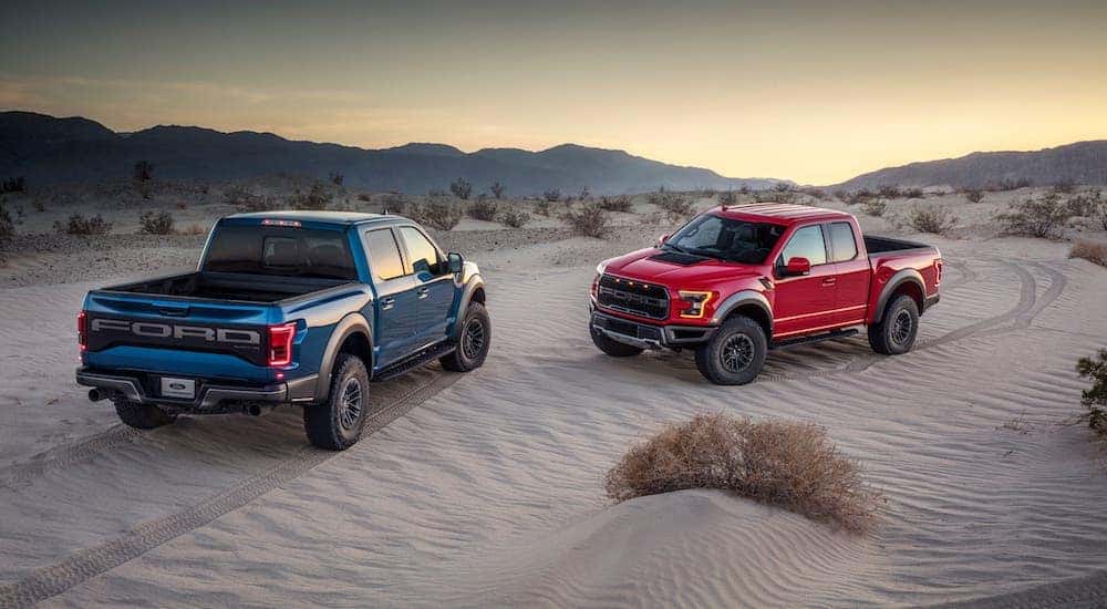 A blue and a red 2020 Ford Raptor are parked on a sand dune.