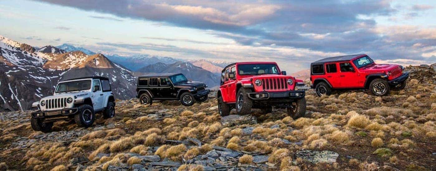 4 2018 Jeep Wrangler Rubicons are shown parked on a rocky mountain.