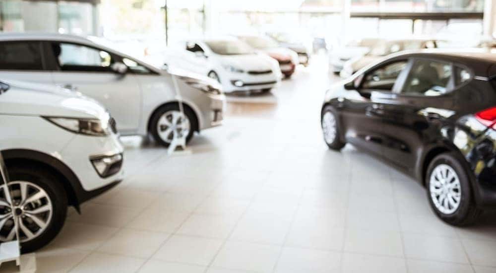 A car dealership shows a showroom full of cars.