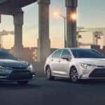 2020 Toyota Corolla Models