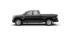 Tundra