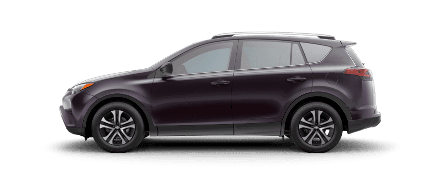 BLACK CURRANT METALLIC