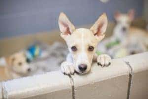  Top Places to Volunteer near Doral FL