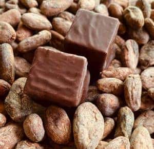 Exquisito Chocolates