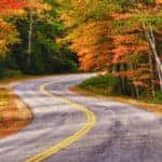 Fall Foliage