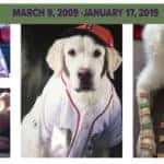 BRODY 3909 11719