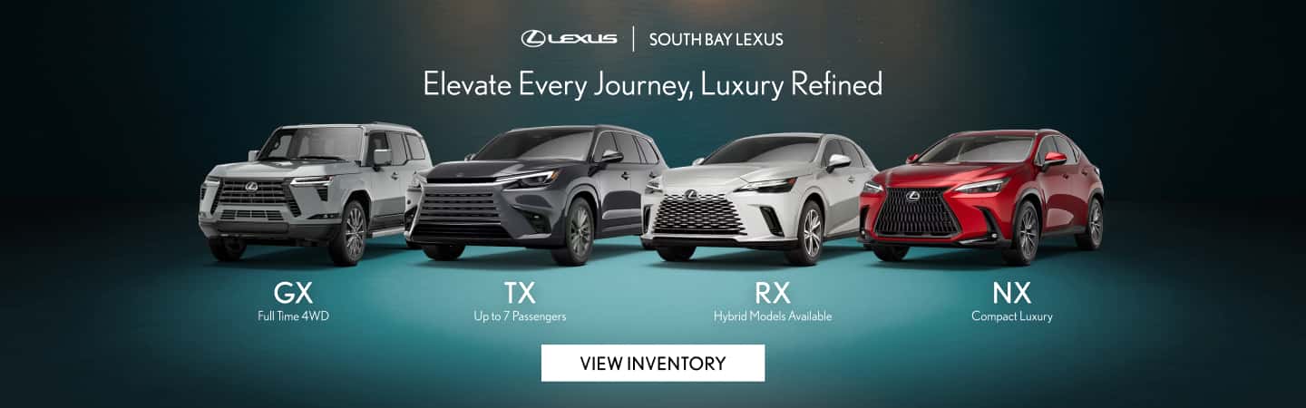 Multi-Models