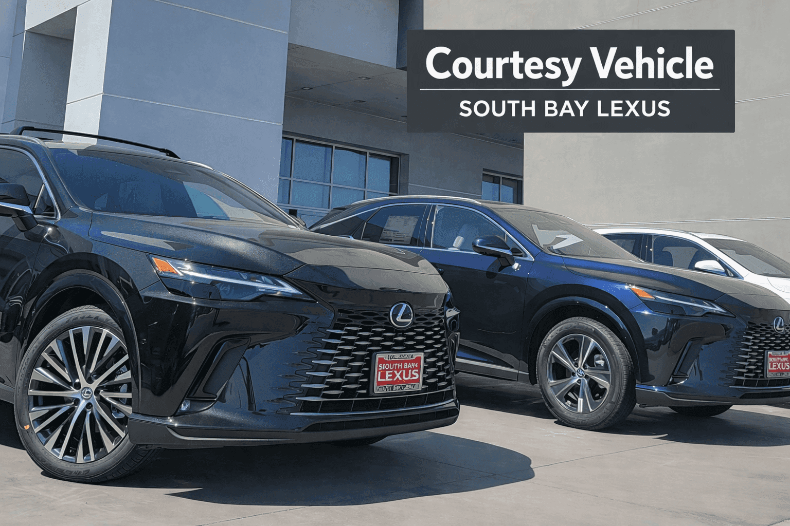 South Bay Lexus Loaner Car