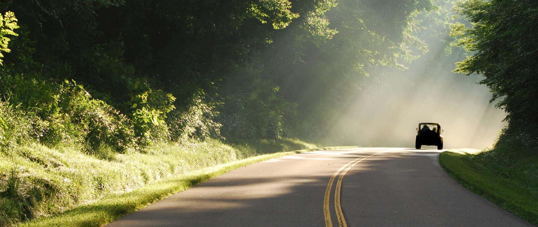 Jeep-Driving-Forested-Road-In-Spring
