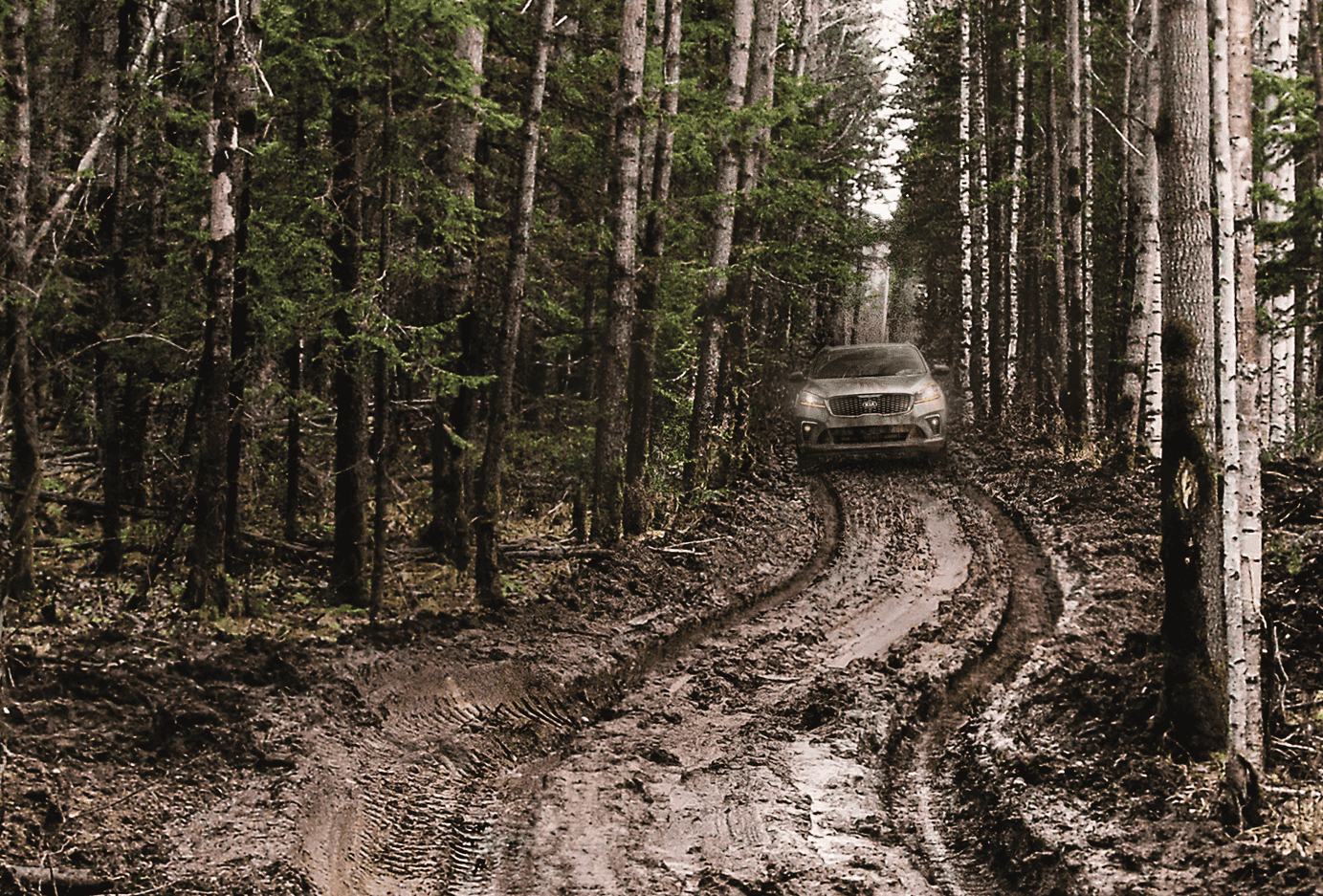 Kia Sorento Lease Deals Louisville KY The Kia Store