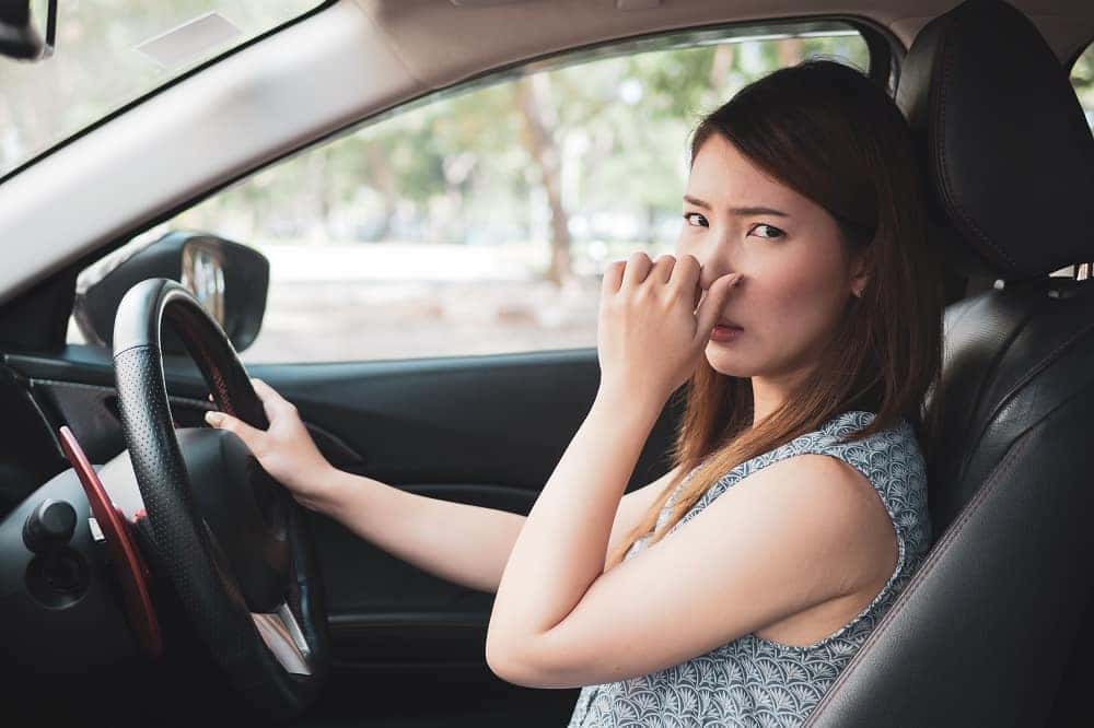 Why Does My Car Smell Like Rotten Eggs? (5 Reasons!)