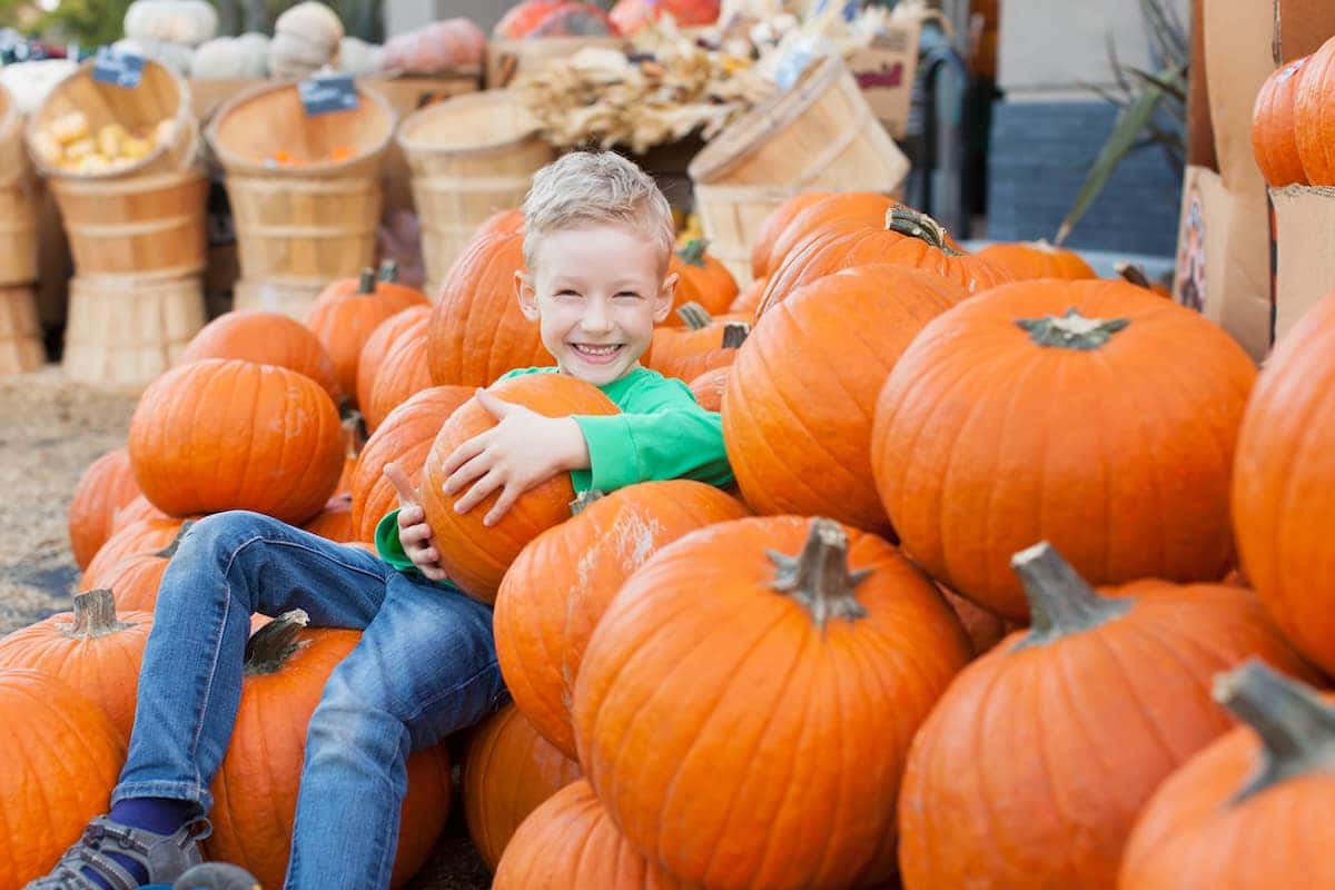 Fall Festivals In Orlando To Check Out This Year Toyota Of Orlando