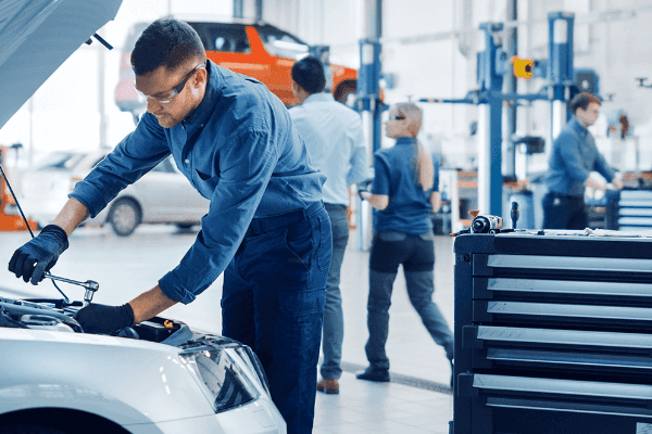 Walter's Automotive Group History