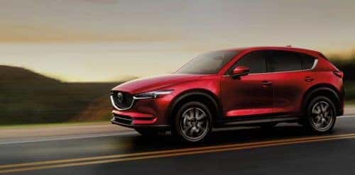 Stop Buying Cr Vs!  The Cx 5'S Hidden Advantage - spvexsn
